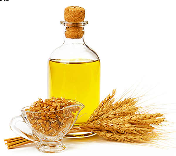 روغن جوانه گندم